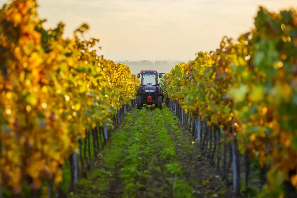 Tracteur vigne