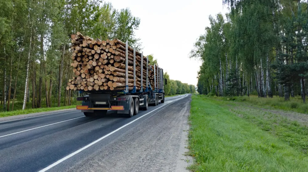 Camion grutier